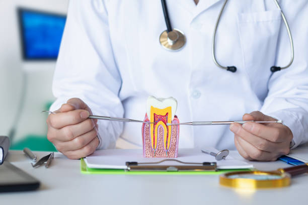 Dentist for Dental Trauma in SD